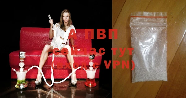 прущие грибы Наволоки