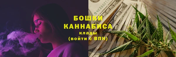 прущие грибы Наволоки