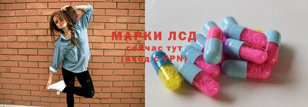 прущие грибы Наволоки