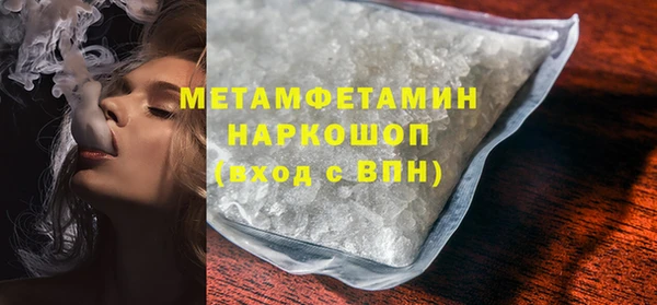 прущие грибы Наволоки