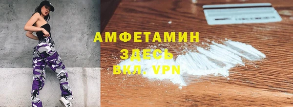 прущие грибы Наволоки