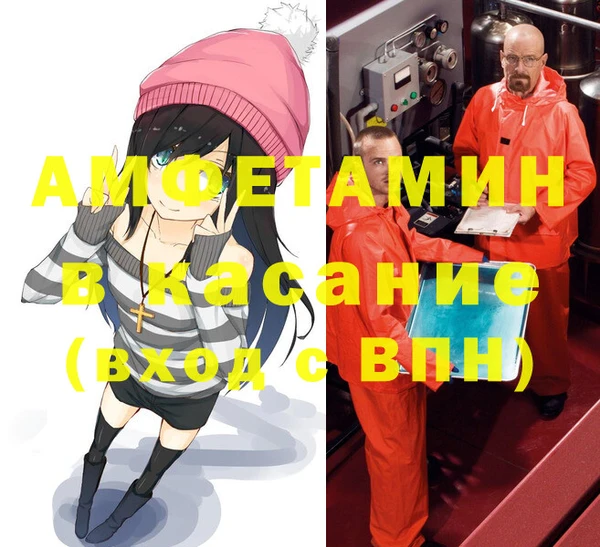 прущие грибы Наволоки