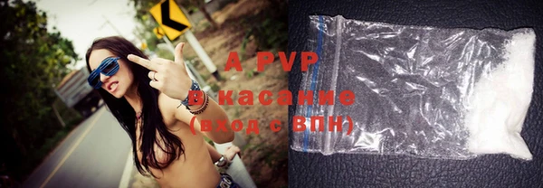 прущие крисы Надым