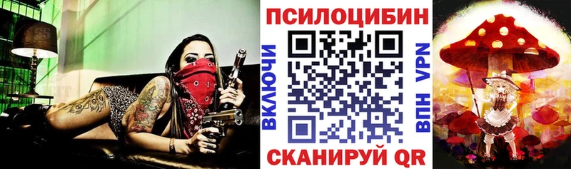 Купить  Озёры  Галлюциногенные грибы GOLDEN TEACHER 